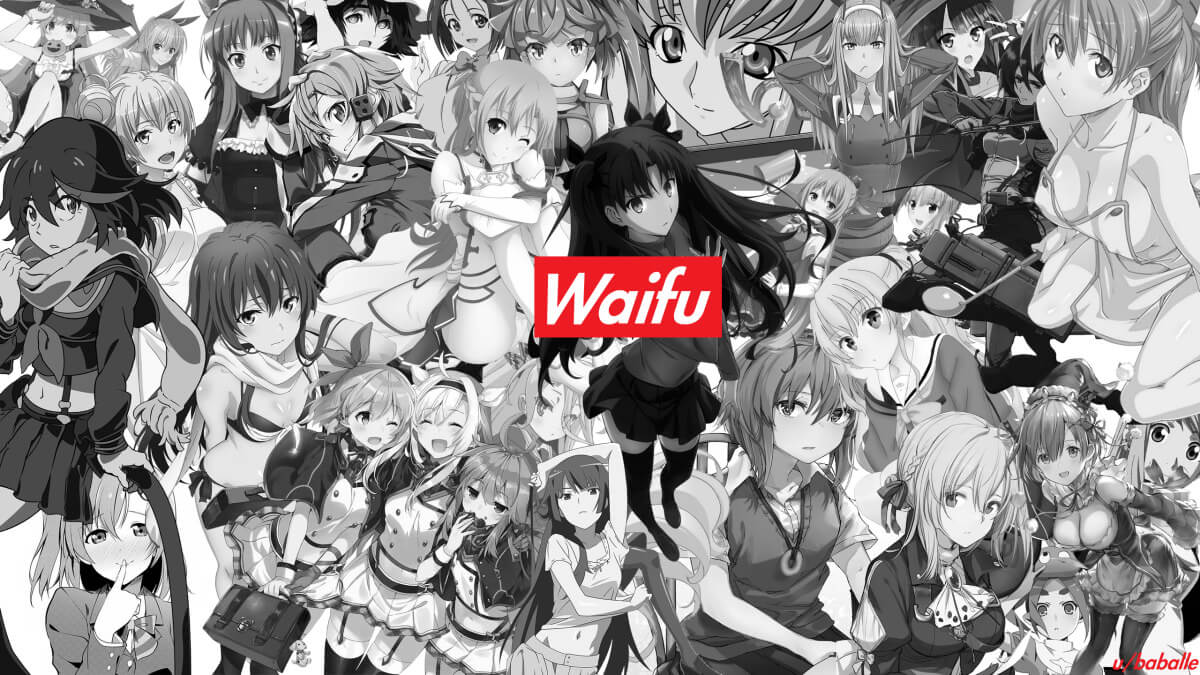 Why are waifus so popular